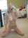 blonde bigboobs shaved