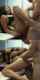 teen orgy wife