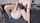 amateur camgirl balloons