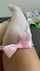 masterbation pov facebook