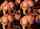 threesome pov 3some