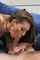 pornstar model adult