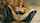 digital playground jasmine jae dark hair