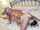 amateur threesome hotwife