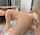 anal doggy professional