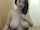 camgirl asian tits