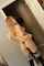 tumblr amateur blonde