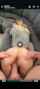 creampie blonde long hair