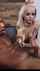 elsa jean blonde