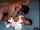 jodo molester jav