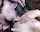 latina blowjob black hair