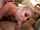 blonde double threesome