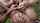 teem outdoor old men