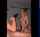 blond amature threesome