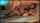 camgirl amateur stocking
