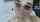 deepthroat camgirl dildo