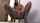 dildo heels teen