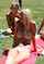 exhibitionist nudist exhibitionism