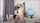solo masturbation pornstar
