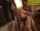 japanese jav lingerie