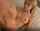 blonde teen couple