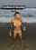 ebony abs fitness