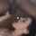brunette camgirl amateur