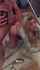 doggy nonnude milf