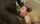 bbc interracial blowjob