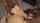 jav double penetration interracial