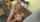 brazzers blonde teen