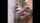 wife blowjob cum inmouth