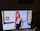lena paul onlyfans amateur