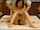 asian massage japanese