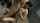brunette old man teen