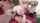 pussy side fuck blonde