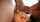 threesome brunette creampie