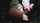 cam girl anal gape