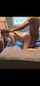 braids bbc gangbang