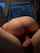 amateur brunette pounding