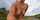 blond outdoors big nipples