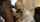 camgirl amateur pornstar