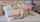 masturbation solo hot