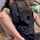 camgirl amateur brunette