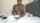 camgirl ebony amateur