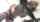 japanese asian jav