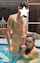 rita daniels kiss pool