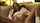 masturbating wife homemade
