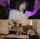 jav shorthair bedroom