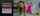 bangbros green fitness